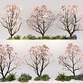 Tree Peach Tree Cherry Tree Flowering Plant Landscape Garden Tree 3d model