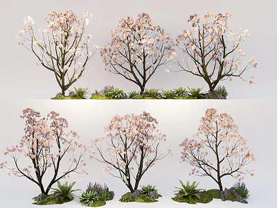 Garden Plant Combination with Pink Flowering Trees Green Small Plants and Stones 3d model