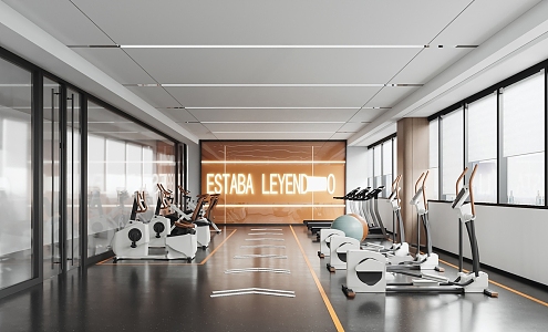 Modern Gym 3d model