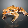 Orange Brown Toad With Blue Eyes And Rough Skin On Dark Background 3d model