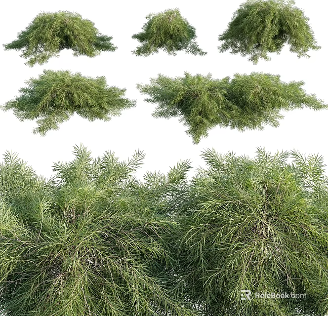 Decorative Ornament Set with Green Foliage Branches for Home Interior Decoration 3d model 