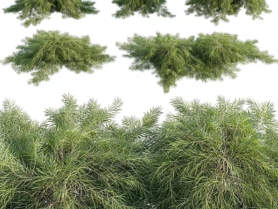 Decorative Ornament Set with Green Foliage Branches for Home Interior Decoration 3d model