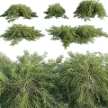 Decorative Ornament Set with Green Foliage Branches for Home Interior Decoration