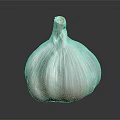 Fresh Whole Garlic Vegetable Bulb with Natural Layers on Dark Gray Background
