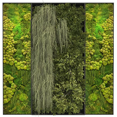 Lush Natural Living Plant Wall Design With Diverse Hanging Plants And Green Moss 3d model