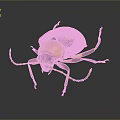 Vibrant Yellow Black White Beetle With Long Antennae And Legs On Dark Background
