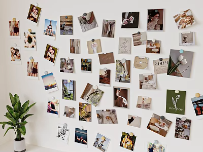 Decorative Photo Wall With Various Photos Clips And Potted Plant On White Wall 3d model