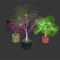 Indoor Green Plants With Various Decorative Pots And Lush Foliage