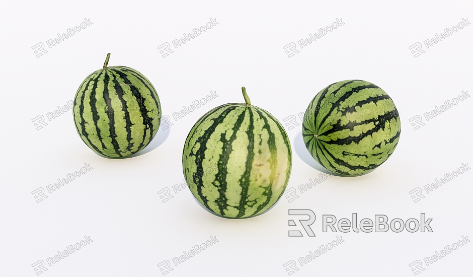 fruit watermelon model