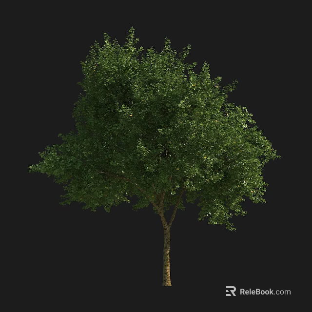 Lush Green Arbor with Dense Foliage and Strong Brown Trunk 3d model 