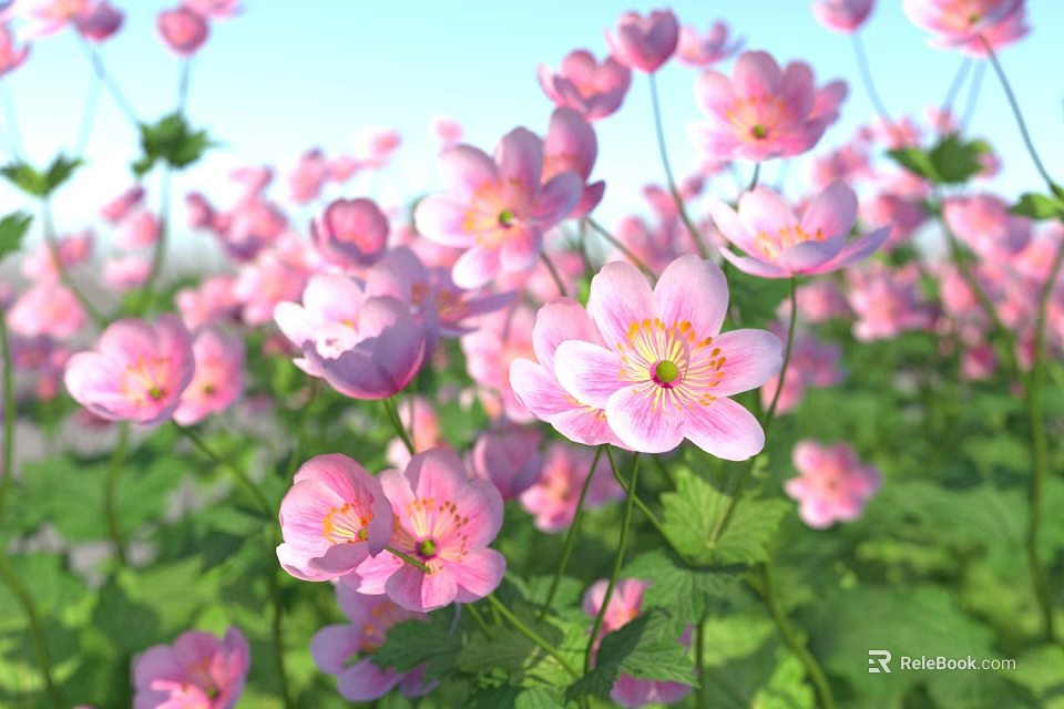Blooming Pink Flowers With Green Leaves In Garden Under Clear Blue Sky View 3d model 