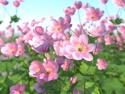 Blooming Pink Flowers With Green Leaves In Garden Under Clear Blue Sky View 3d model