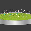 Outdoor Decorative Lights with Colorful Balls on Circular Grass Lawn