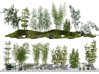 Garden Miniature Landscape With Various Trees Bamboo Rocks And Green Grass 3d model