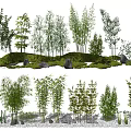 Garden Miniature Landscape With Various Trees Bamboo Rocks And Green Grass