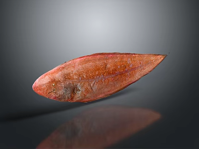 Red Flat Aquatic Fish With Smooth Body On Gray Background Reflection 3d model