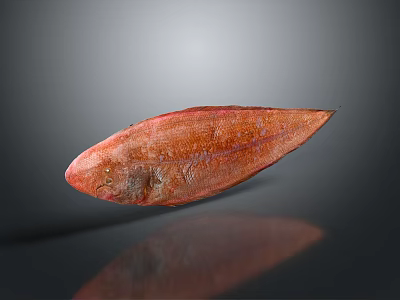 Fish flounder partial mouth fish freshwater fish sea fish animal game animal cartoon animal 3d model