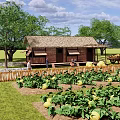 Scenic Thatched Roof Wooden House Surrounded By Vegetable Garden With Yellow Fruits And Trees