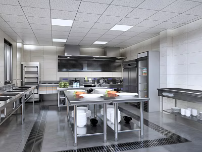 Commercial Kitchen With Stainless Steel Utensils Workbench Storage And Fresh Ingredients 3d model