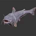 3D Model Fish With Gray Body And Orange Fins Open Mouth Whiskers Dark Background Reflection