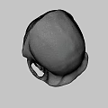 Detailed White Human Skull Model Isolated On Gray Background With Anatomical Features 3d model