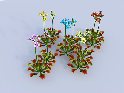 Multi Colored Potted Plants With Slender Stems Red Green Leaves And Colorful Flowers 3d model