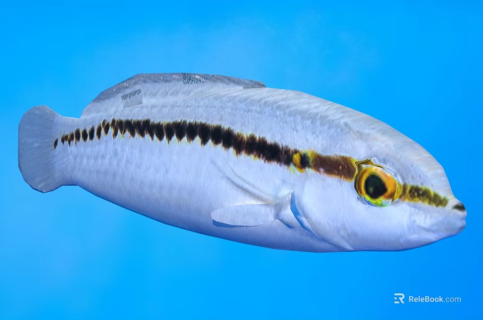 Vibrant Tropical Fish With White Body Black Stripe And Yellow Eyes In Blue Aquatic Environment 3d model 