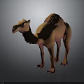 Realistic Dromedary Camel 3D Model With Orange Brown Fur And Furry Hump Detailed Rendering