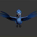 Blue Parrot Flying With Spread Wings Crown Like Decoration Pink Beak White Eyes Gray Background