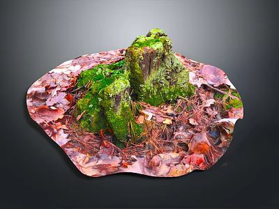 Moss Covered Tree Stump Surrounded By Red And Brown Autumn Leaves 3d model