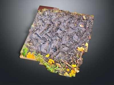 Muddy Ground Surface With Footprints Surrounded By Yellow Flowers And Green Grass 3d model