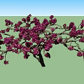 Elegant Blooming Tree With Lush Purple Flowers And Graceful Branches