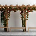 Wooden Pergola Decorated With Green Vines And Orange Flowers With Benches