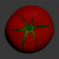 Shiny Red Ripe Tomato Fresh Vegetable with Green Leafy Stem 3d model