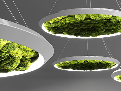 Circular Pendant Lights With Green Moss And White Frames For Modern Interior Lighting 3d model