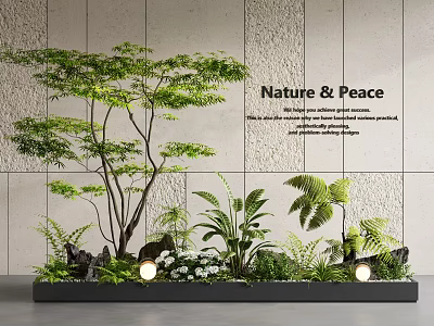 Modern Indoor Landscape With Nature Peace Natural Essence And Lush Greenery 3d model