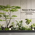 Modern Indoor Landscape With Nature Peace Natural Essence And Lush Greenery