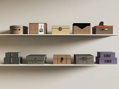 Ornamental Decorative Sets With Various Colored Storage Boxes On Shelves 3d model