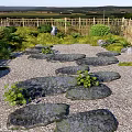 Chinese Style Green Slab Ting Step Garden Slab Paving Courtyard Slab Path Courtyard Garden Ting Step Bryophyte Group Bamboo Fence 3d model