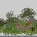 Diverse Shrubs With Colorful Foliage And Lush Greenery In Garden Landscape