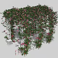 Beautiful Pergola Covered With Lush Green Vines And Pink Flowers