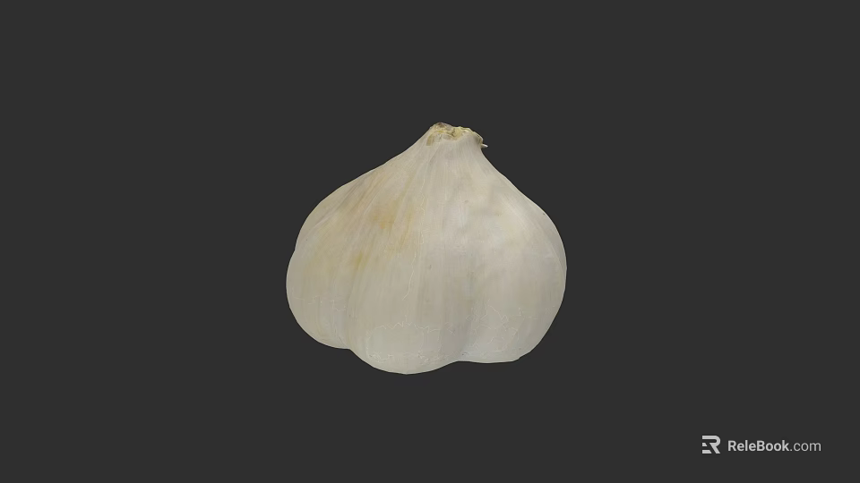 Artistic Garlic Plant Painting With Detailed Botanical Design For Home Decor 3d model 