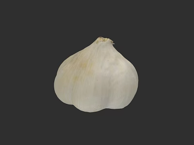 Artistic Garlic Plant Painting With Detailed Botanical Design For Home Decor 3d model