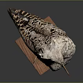 Taxidermy Bird With Spotted Feathers Standing On Wooden Base Displayed Against Dark Background
