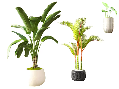 Various Bonsai Potted Plants With Large Green Leaves And Decorative Hanging Pots 3d model
