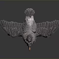 Gray Goose With Orange Beak And Feet Wings Spread On Dark Background