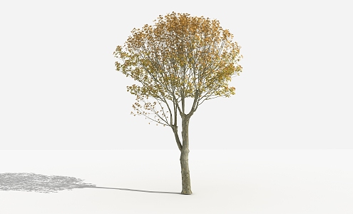 Modern Tree French Indus 3d model