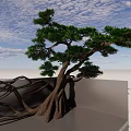 Arbor Tree with Luminous Roots in Transparent Cube Against Night Sky Clouds and Sunset 3d model