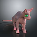 Hairless Sphynx Cat With Bright Green Eyes Standing On Dark Surface