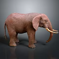Brown African Elephant With Large Ears Long Tusks Standing On Dark Background